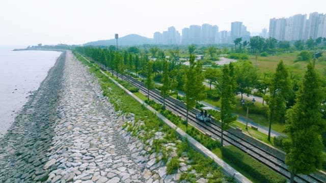 Rail Bike Facing at the Coast