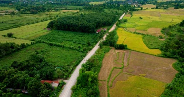 Aerial View of Lush Agricultural Land by Mountains