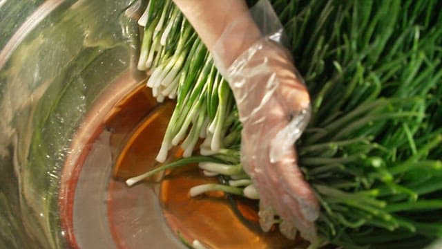 Hands wearing plastic gloves mixing fresh leeks and sauce in a metal bowl