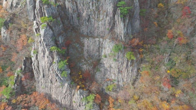 Majestic mountain with autumn foliage