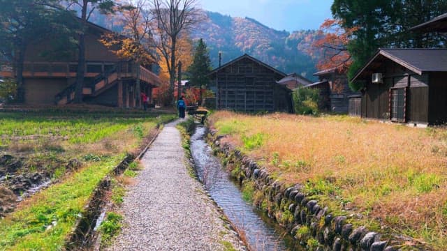 Traveling Traditional Village in the Fall Foliage Scenery