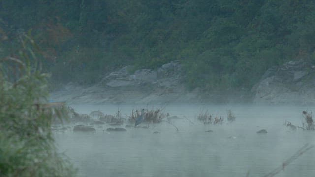 Early morning boat ride on a misty river with a man