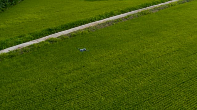 Drone Flying Over Lush Green Rice Fields
