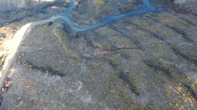 Winding Roads in Mountainous Terrain