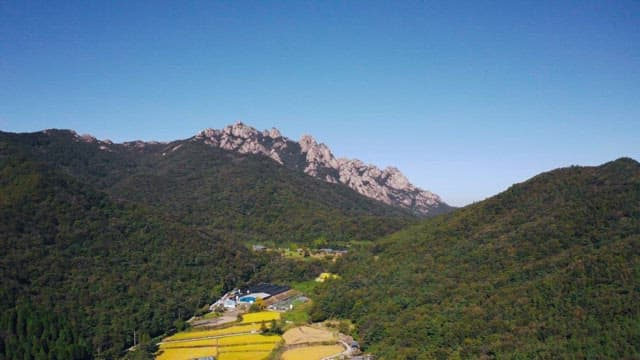 View of mountainous rural landscape with farm fields