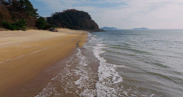 Waves Crashing on Peaceful Sandy Beach
