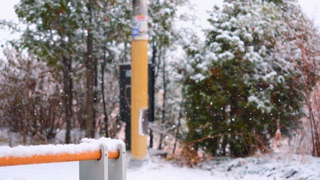 Snow falling in a forest with trees and a pole
