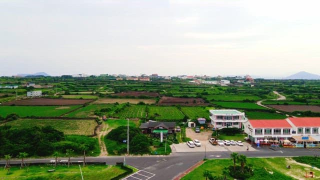 Agricultural fields with small town buildings