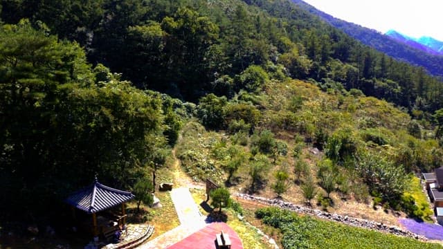 Scenery of a lush green forest with a winding pathway and small traditional pavilion.