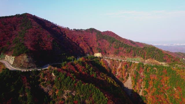 Scenic Mountain Road Amidst Autumn Foliage