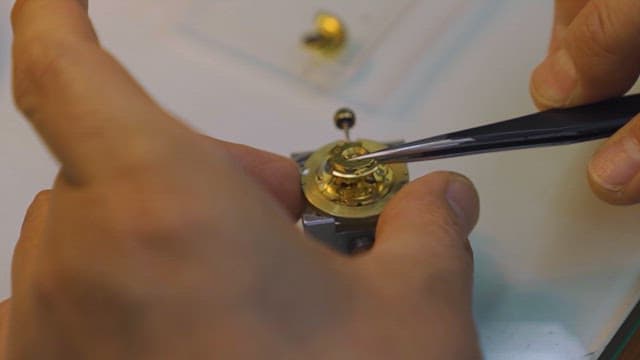 Close-Up of Precision Watch Repair