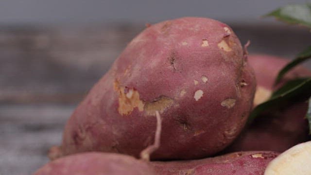 Close-up of fresh sweet potatoes