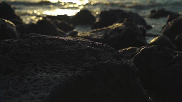 Sunlight Glistening on Coastal Rocks