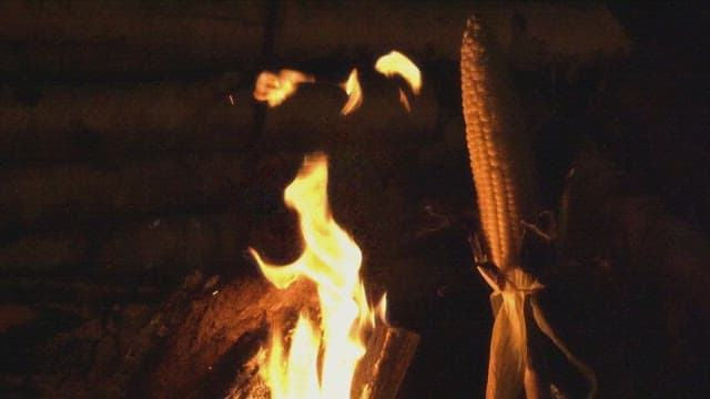 Corn roasting over an open fire