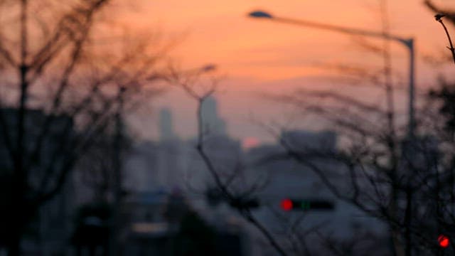 City skyline at sunset with bare trees