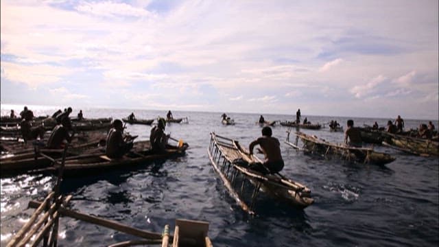 People jumping into the sea to catch fish