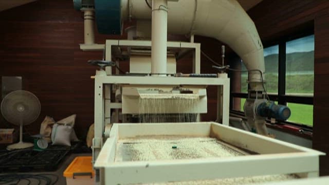Rice Processing in an Industrial Machine