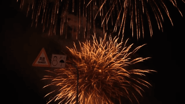 Fireworks lighting up the night sky