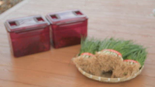 Freshly harvested green onions and kimchi jars placed on wooden table