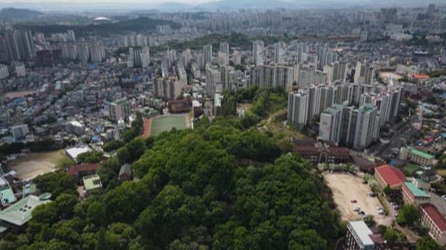 Cityscape with Green Space and Dense Buildings