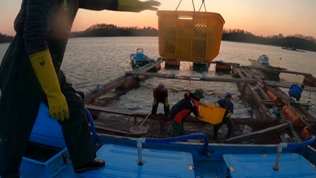 Fishermen Harvesting Fish at Dusk