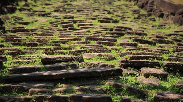 Stone steps with green grass