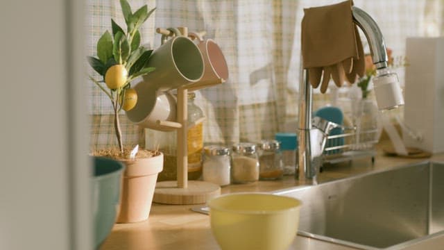 Sink with Plants in a Sunny Kitchen