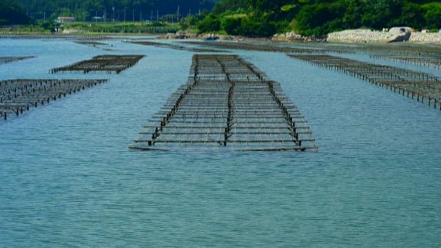 Low tide view of a fish farm near the coast