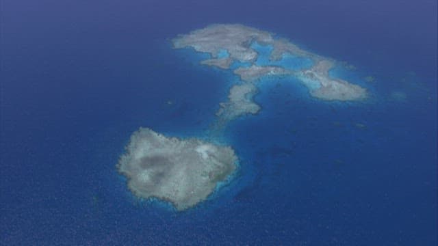 Coral reef under the sea seen from the sky