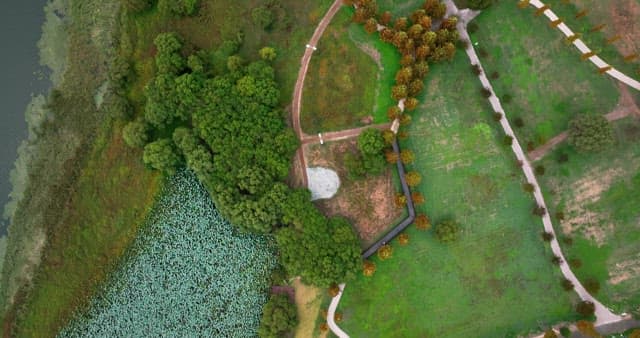 View of a lush green park with paths