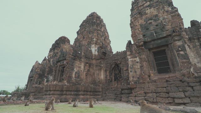 Ancient Temple with Monkeys Playing Under a Clear Sky