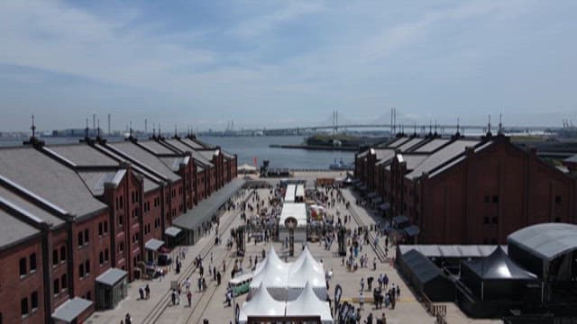 Quayside Warehouses and Crowded Outdoor Cultural Complex