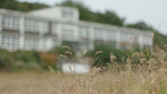 Abandoned Building Overgrown by Nature