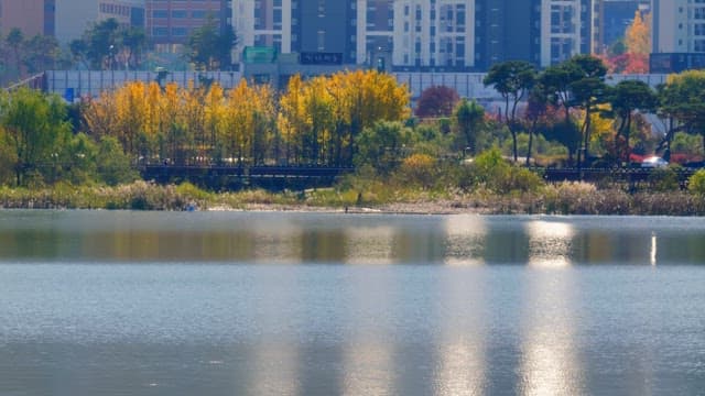 Calm lake scene with dense buildings in the background