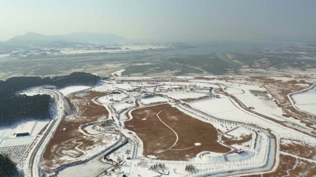 Snowy winter trees and fields