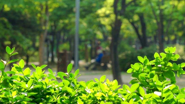 People relaxing on a bench in a park
