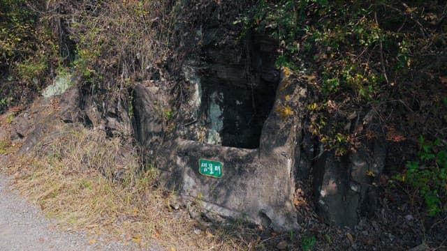 Spring waterfront surrounded by lush trees