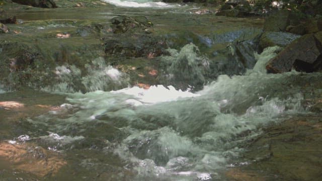 Clear stream flowing over rocks