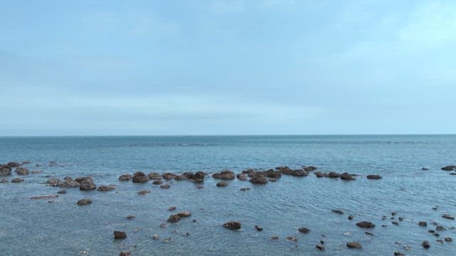 Vast expanse of sea past a rocky coast and birds flying over it