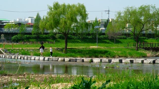 People walking along a serene lakeside park on a sunny day