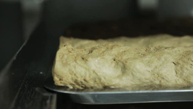 Dough resting on trays of oven in a bakery