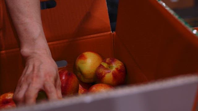 Fresh Nectarines in a Cardboard Box