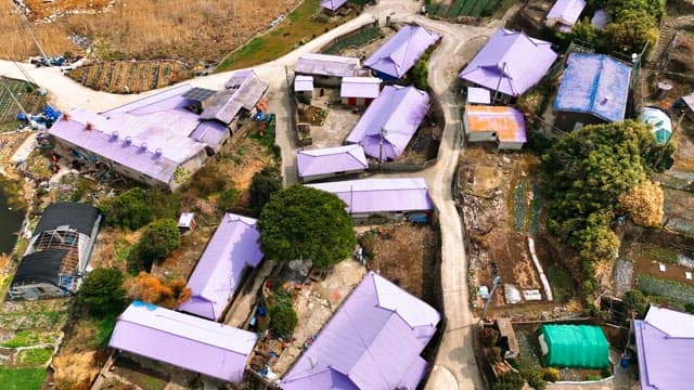 Rural village with purple-roofed houses