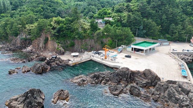 Coastal area with a small dock and forest