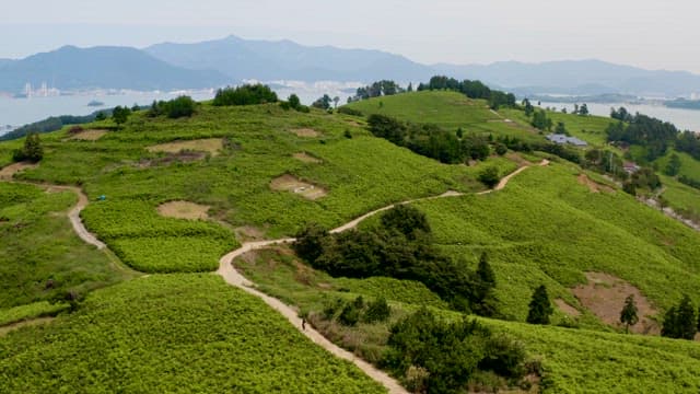 Green Hills and Winding Trails