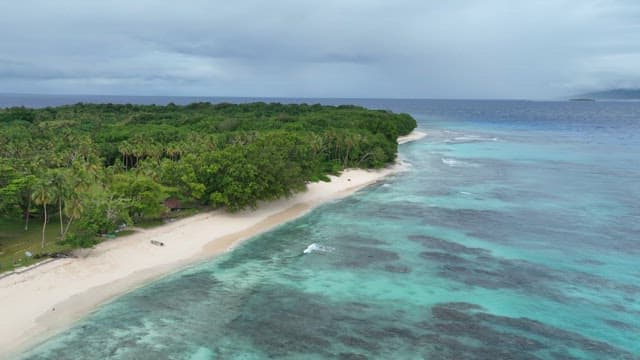 Serene beach with lush green trees
