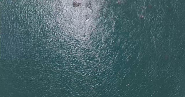 Secluded Beach with a Pavilion Among the Grass