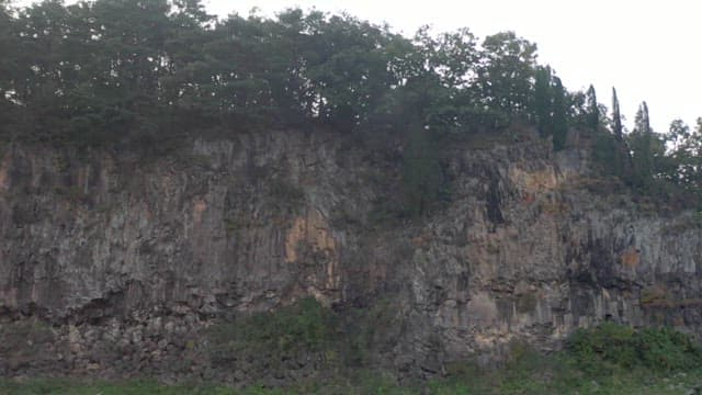 View of a rugged cliff with a dense forest on top.