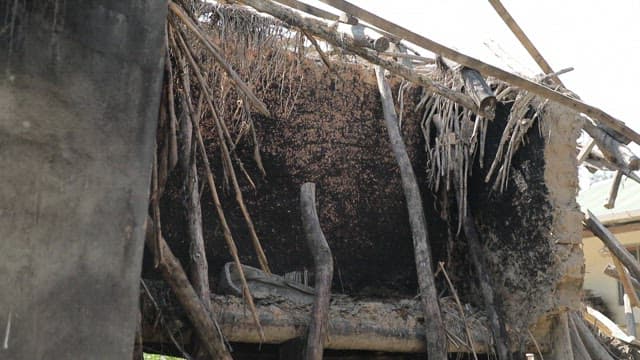Aftermath of a Devastated Building Structure