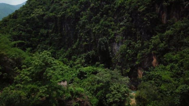 Mountain full of green and lush forests